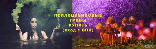 сатива Абдулино