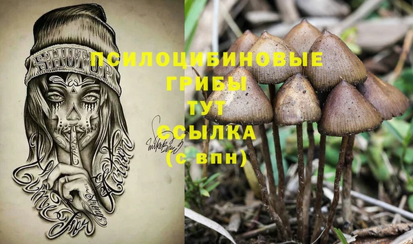 сатива Абдулино