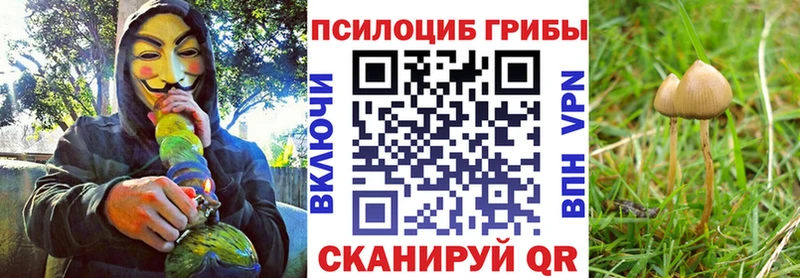 Галлюциногенные грибы прущие грибы  Галич 